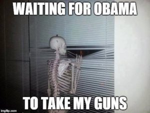 Waiting for Obama to take my guns
