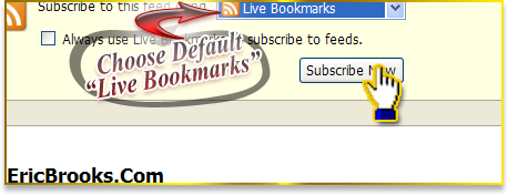 Keep it on the default "Live Bookmarks" and press the "Subscribe Now" button